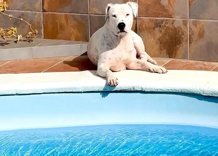 Villa Dar Nur Ideal For Families, Couples, And Digital Nomads With Private Pool Bbq Solarium La Oliva