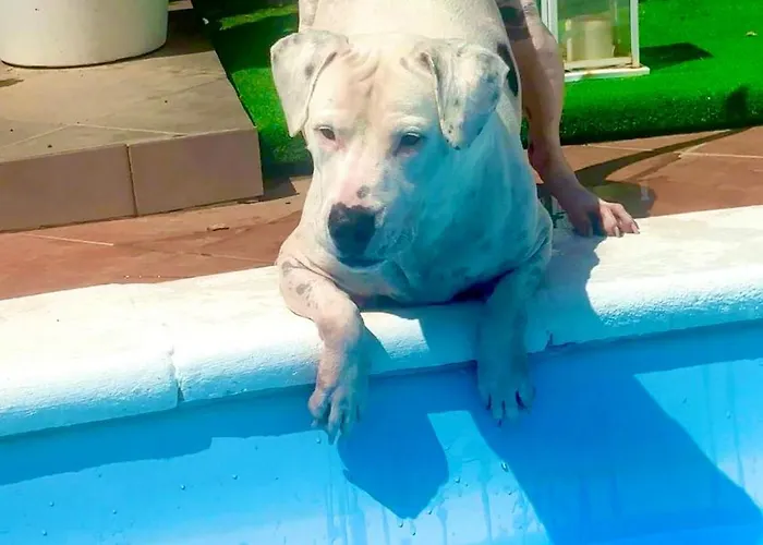 Dar Nur Ideal For Families, Couples, And Digital Nomads With Private Pool Bbq Solarium * La Oliva