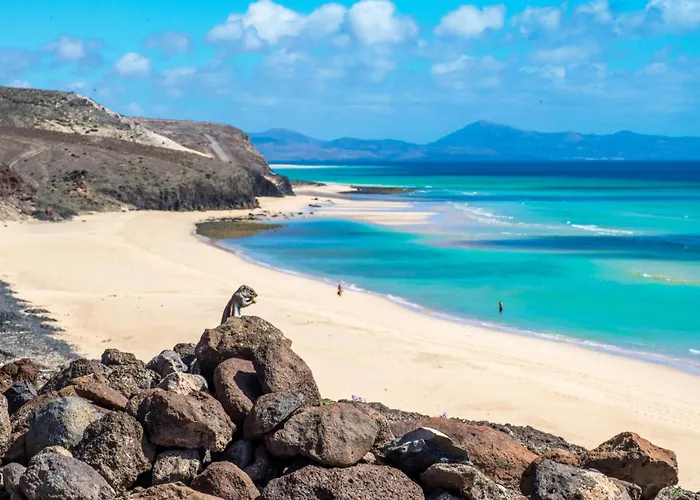 Вилла Dar Nur Ideal For Families, Couples, And Digital Nomads With Private Pool Bbq Solarium Ла-Олива